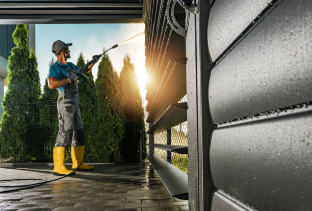 Best Roof Cleaning and Mildew Removal in Oceanside, CA